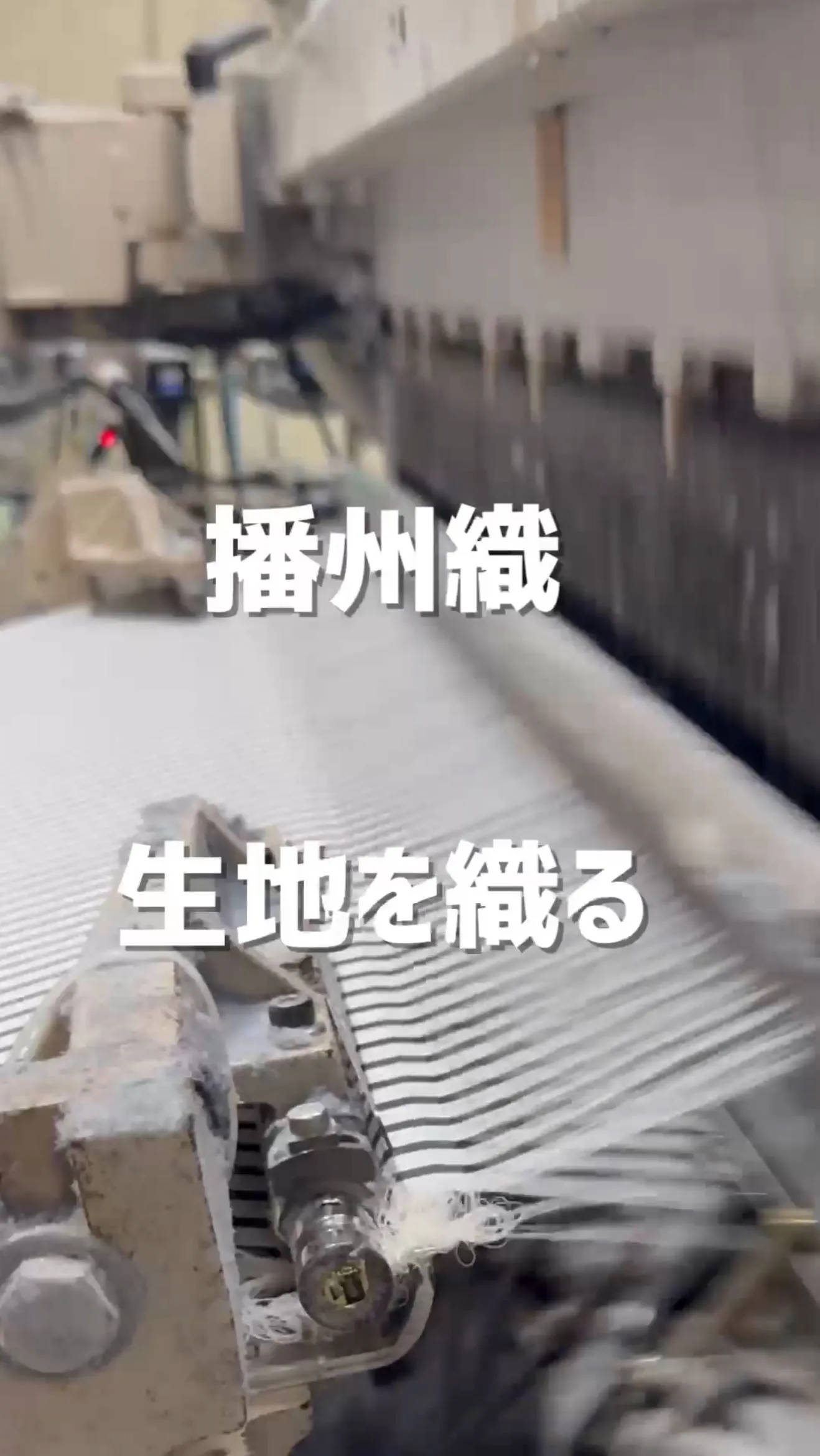 播州織の生地を織り進めてます🧵